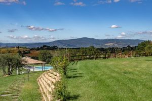 Agriturismo La Spiga - Cortona (AR)