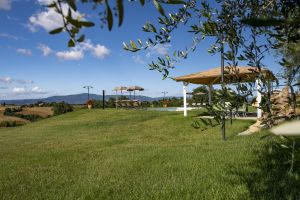 Agriturismo La Spiga - Cortona (AR)