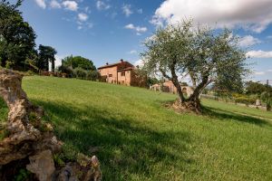 Agriturismo La Spiga - Cortona (AR)